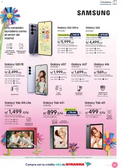 Vista previa de folleto Hiraoka catálogo de la Hiraoka válido desde 25.04.2026 | Página: 69 | Productos: Cámara, Polvo