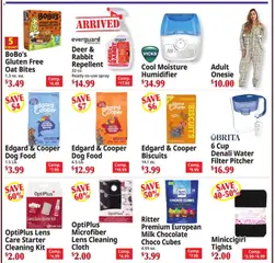Preview of Ocean State Job Lot weekly ads valid from 09/17/2026 | Page: 3