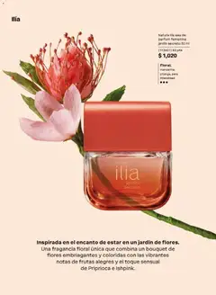 Vista previa de Natura campaña 14 2026, nuevo folleto de la tienda, válido en México a partir del 11/09/2026 | Página: 45