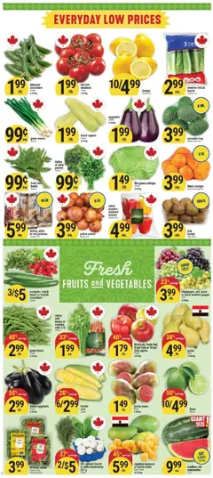 Preview of Adonis weekly flyer from shop Adonis valid from Sep 17, 2026 | Page: 2