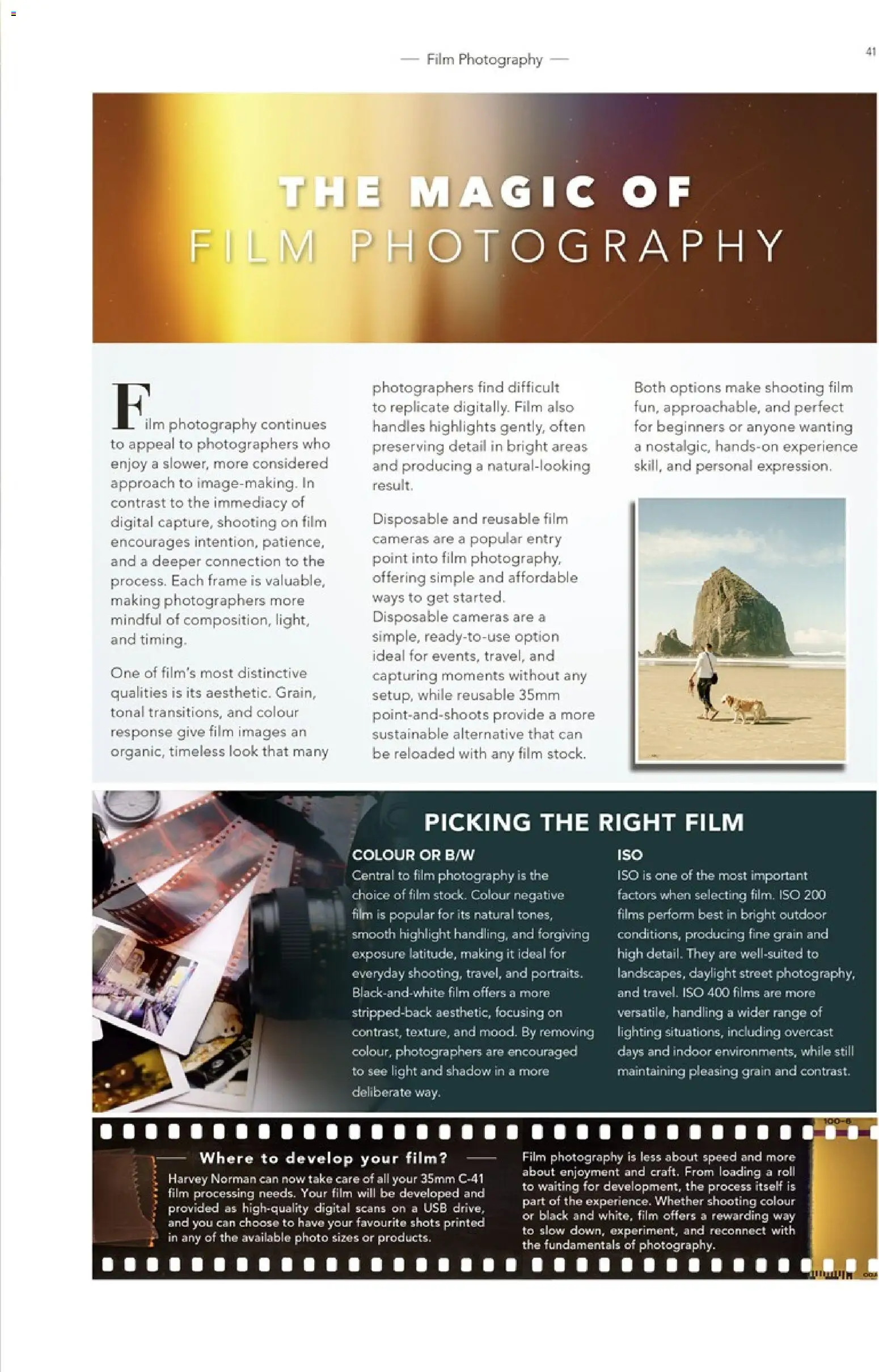 Harvey Norman catalogue from 1 May 2026 | Page: 41