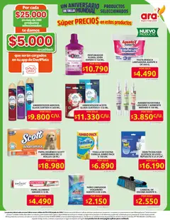 Ara - Ahorra con precios bajos y ofertas en la canasta familiar | ara -  Vista previa de la revista de la tienda Ara valido desde el 11/06/2026 | Página: 19