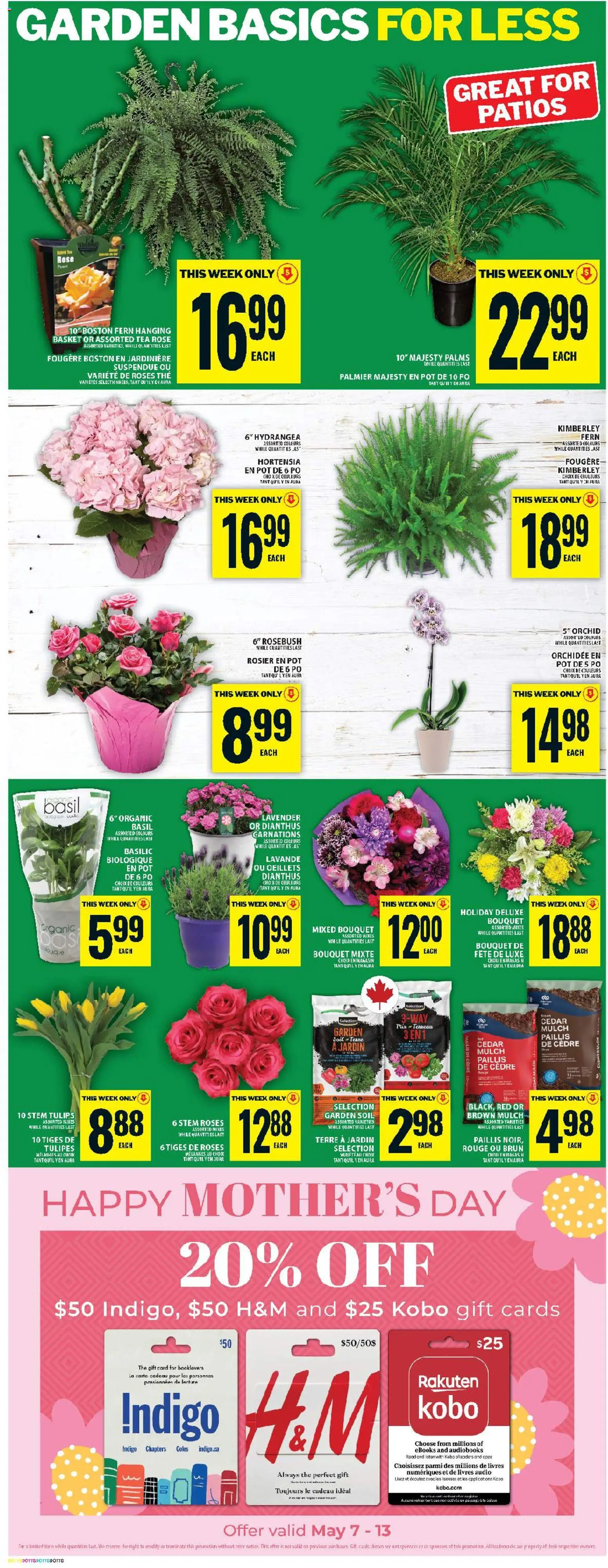 Food Basics flyer valid from 07.05.2026 | Page: 10 | Products: Tea, Audio, Basket