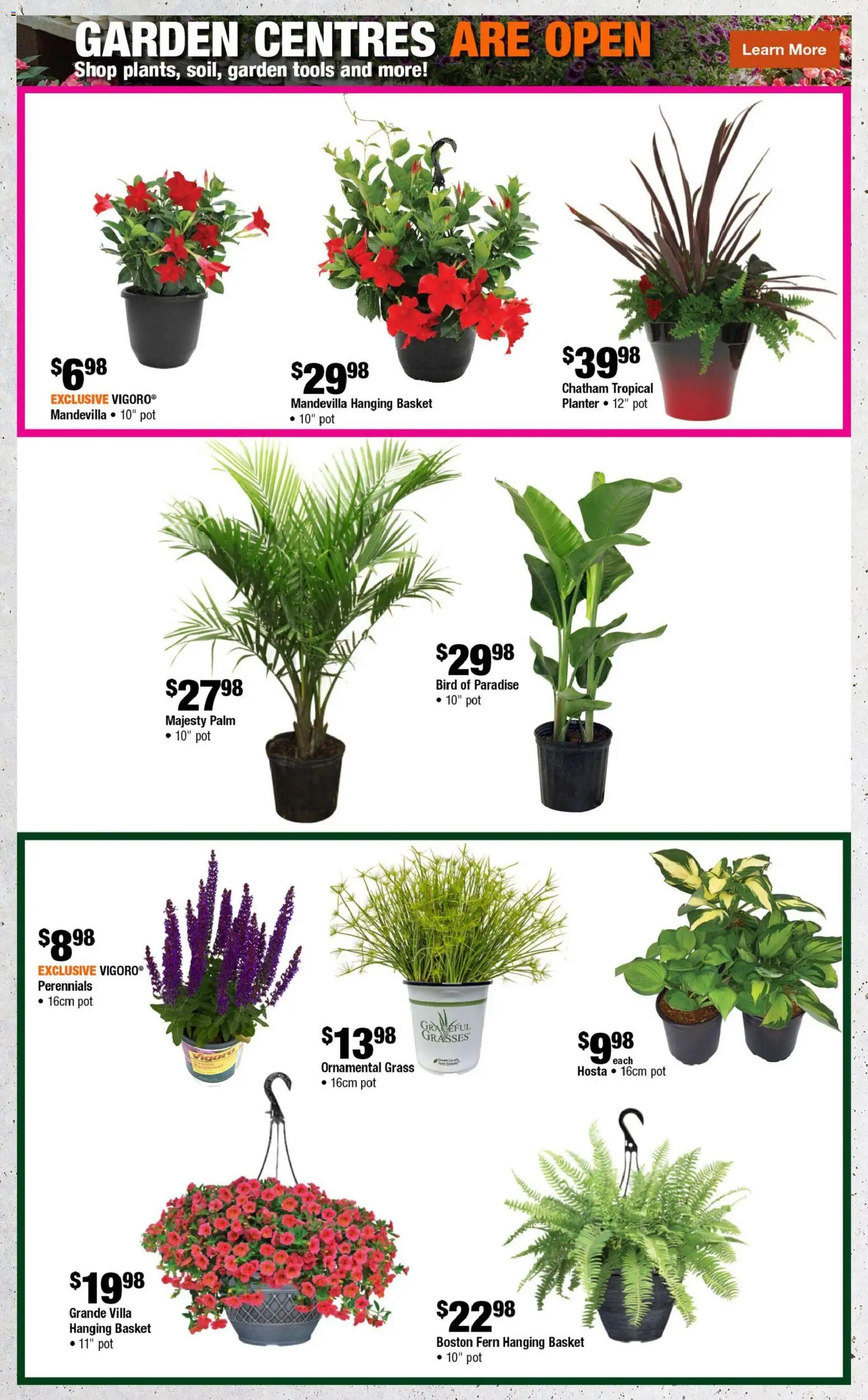 Home Depot flyer valid from 28.05.2026 | Page: 3 | Products: Basket