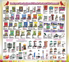 Preview of Ocean State Job Lot weekly ads valid from 09/03/2026 | Page: 19