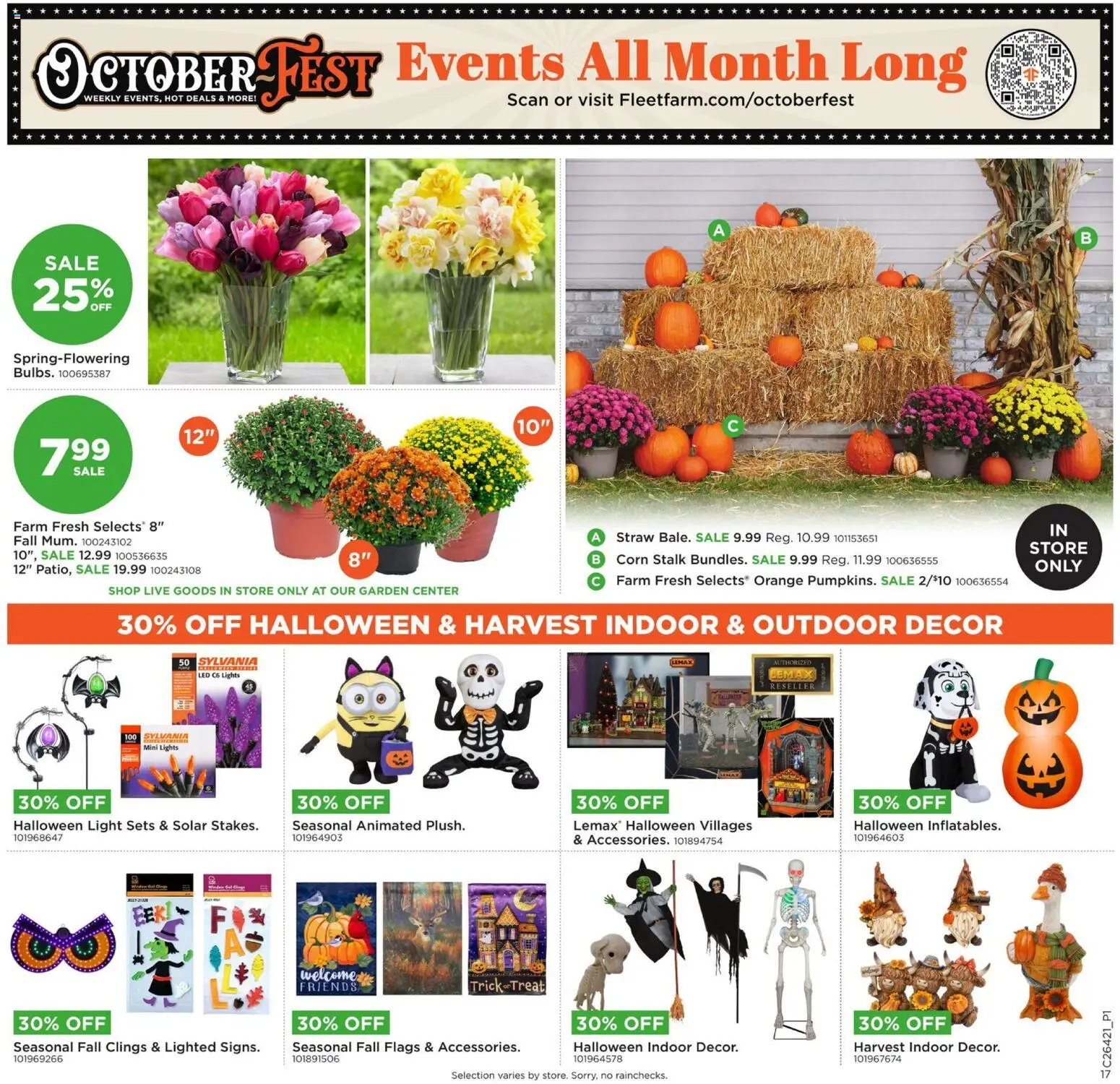 Mills Fleet Farm Weekly Ad - valid from 10/12/2026 | Page: 19