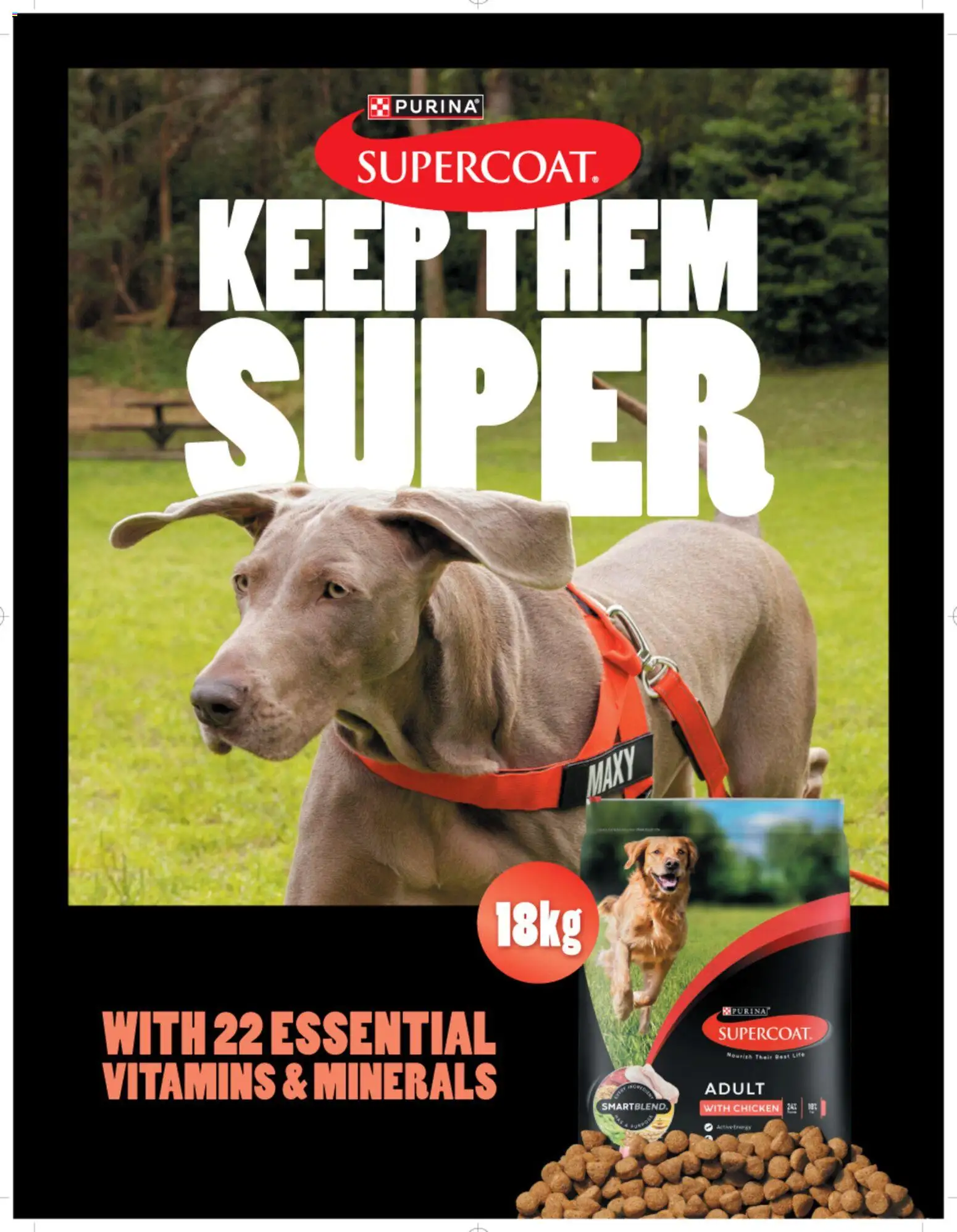 Bunnings Warehouse catalogue - valid from 01/08/2026 | Page: 66 | Products: Chicken