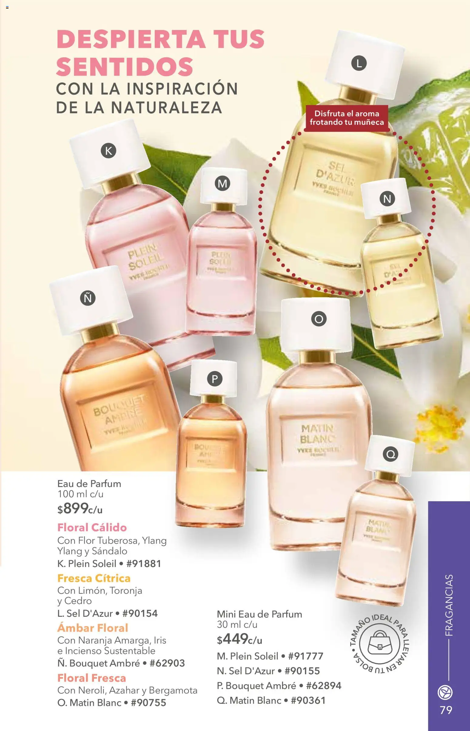 Nuevas ofertas de Yves Rocher válidas en toda la República Mexicana desde el 25/08/2026. ¡Encuentra las mejores ofertas en Yves Rocher campaña 12 2026! | Página: 81 | Productos: Toronja