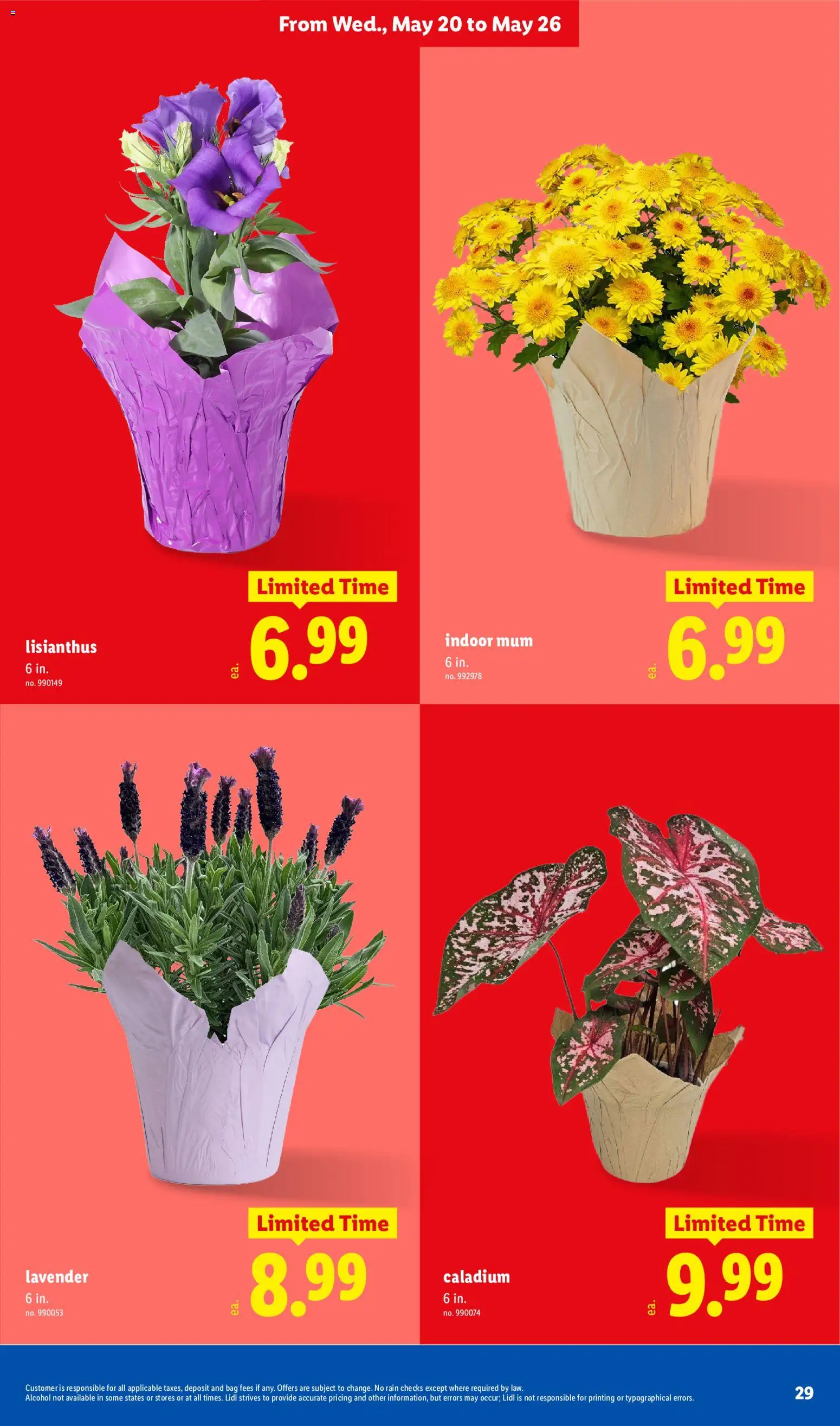 Lidl Weekly Ad - valid from 20.05.2026 | Page: 29 | Products: Bag