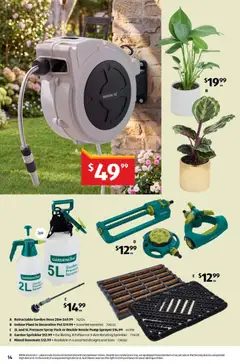 Preview of Indoor Plant in Decorative Pot, Indoor Plant in Decorative Pot - valid from 07/10/2026 | Page: 14