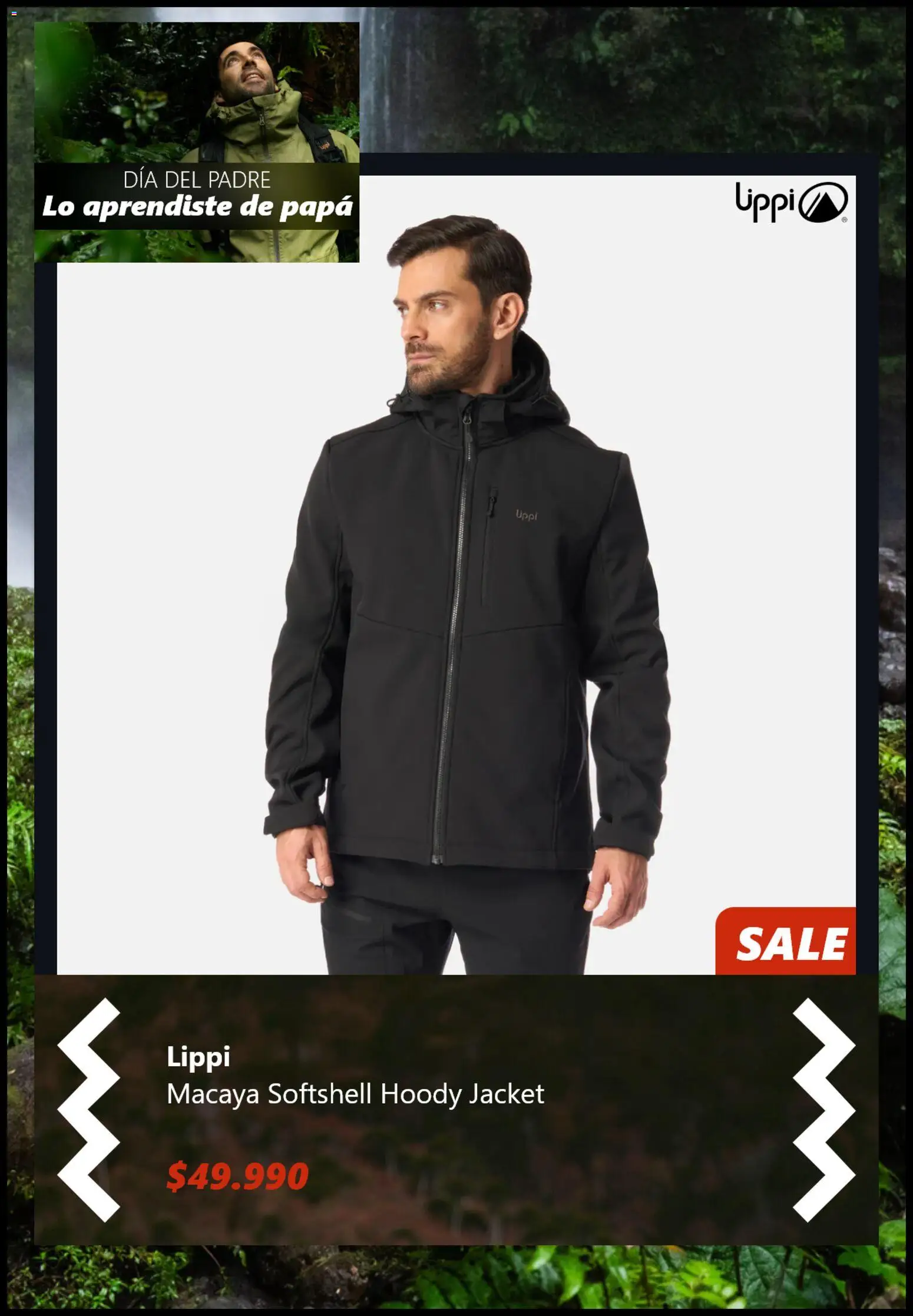 Lippi Ofertas │ válido desde el 11.06.2026 | Página: 6 | Productos: Papa