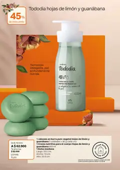 Natura catálogo _ ciclo 06 -  Vista previa de la revista de la tienda Natura valido desde el 01.03.2026 | Página: 29 | Productos: Té, Guanábana, Bolsa, Limón