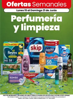 Vista previa Coto - Perfumería y limpieza válido desde el 15.06.2026 | Página: 1 | Productos: Toallas, Jabón líquido, Acondicionador, Jabón