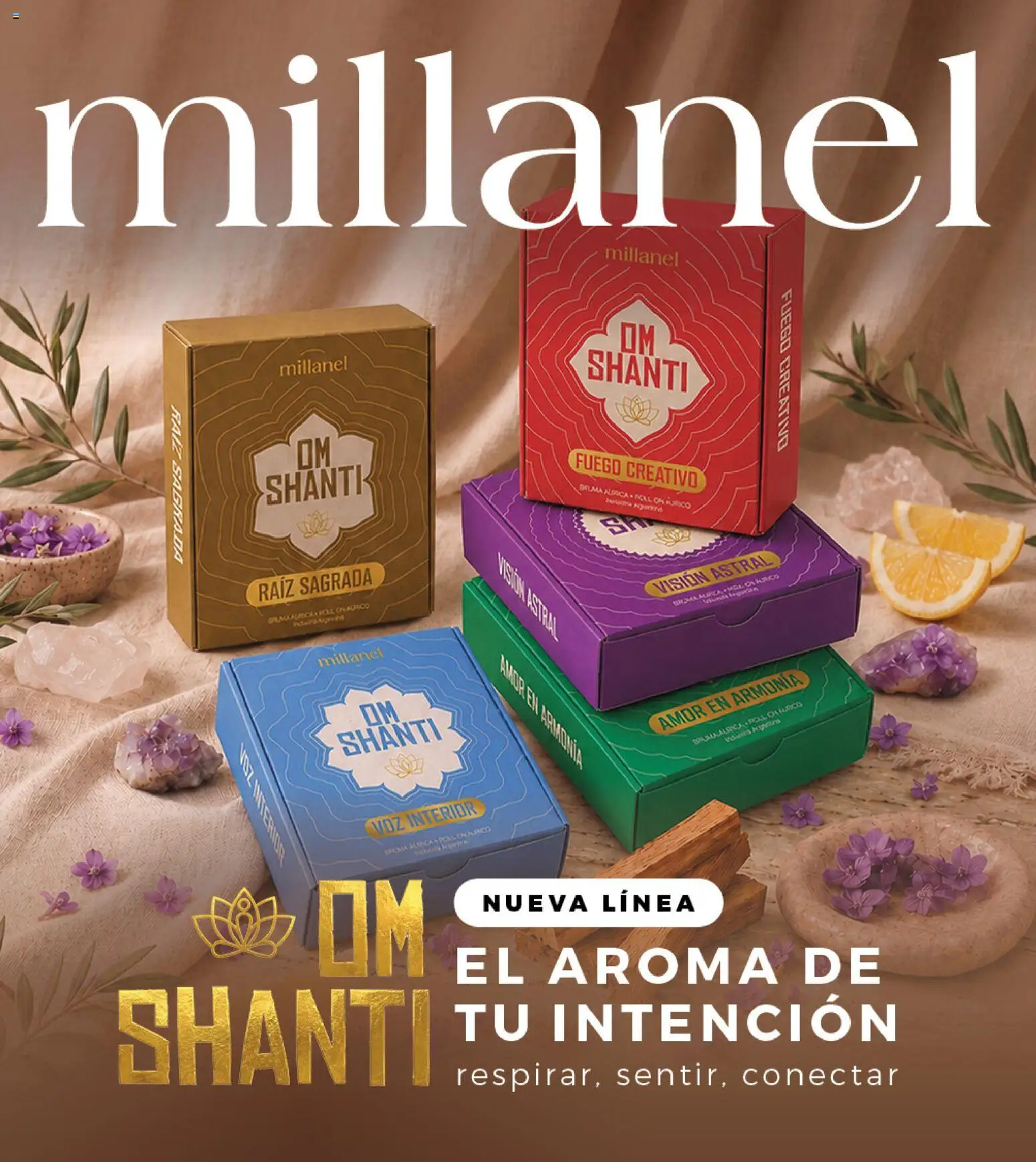 Millanel catálogo │ válido desde el 19/10/2026 | Página: 1