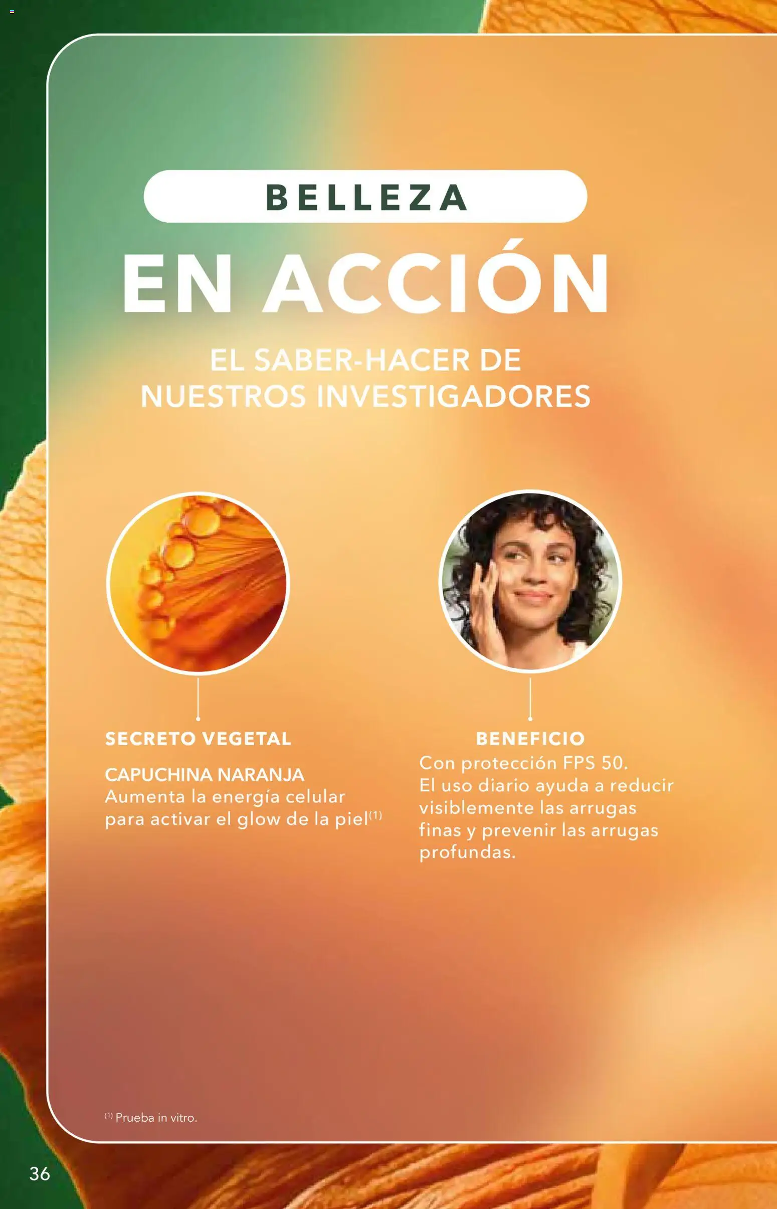 Nuevas ofertas de Yves Rocher válidas en toda la República Mexicana desde el 12.05.2026. ¡Encuentra las mejores ofertas en Yves Rocher campaña 7 2026! | Página: 36