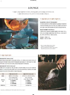  | 페이지: 136