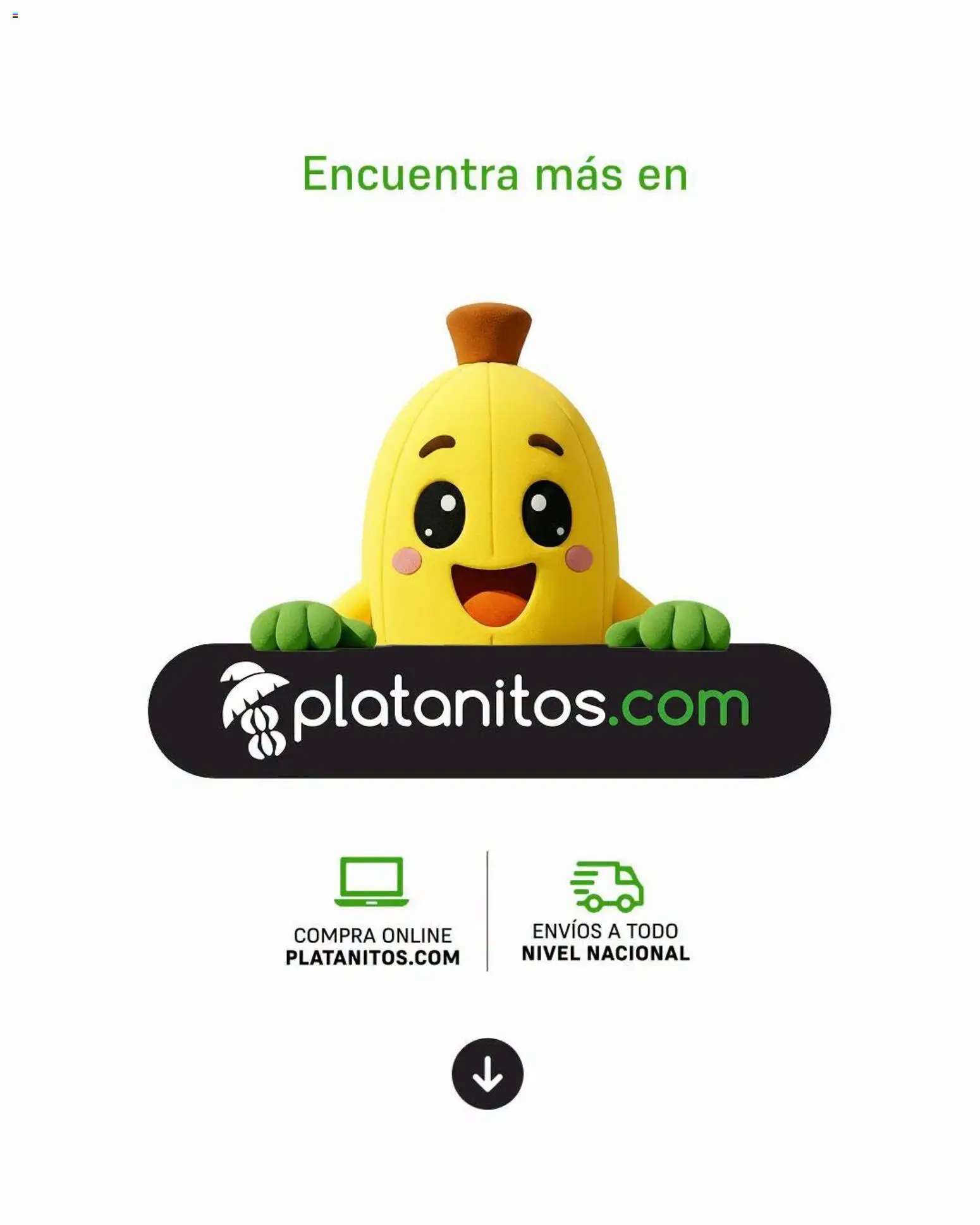 Catálogo Platanitos válido desde 29/06/2026 | Página: 6