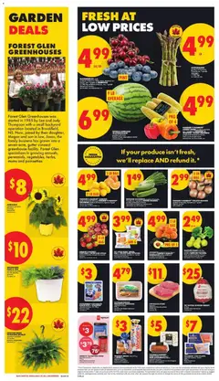 Preview of TOP BLADE STEAK, boneless from shop No Frills valid from 28.05.2026 | Page: 2 | Products: Potatoes, Butter, Apples, Oranges