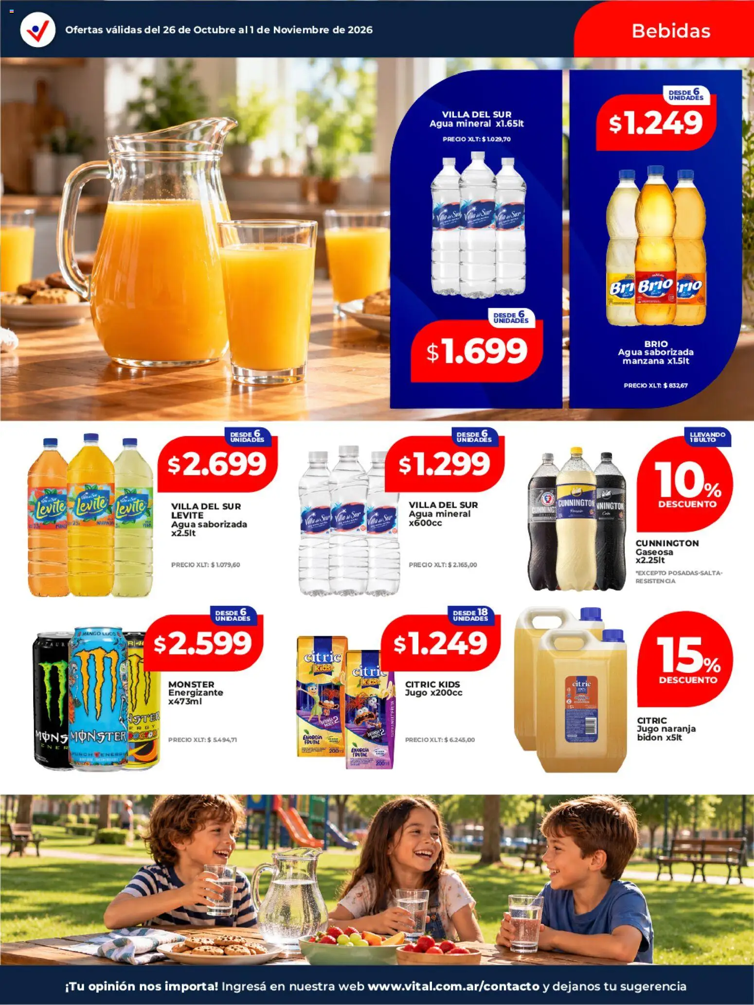 Vital - Ofertas │ válido desde el 26/10/2026 | Página: 16