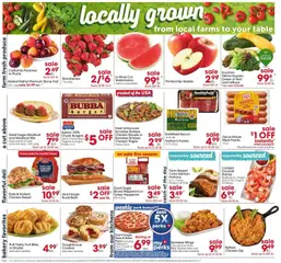 Preview of Giant Eagle weekly ads valid from 08/20/2026 | Page: 4