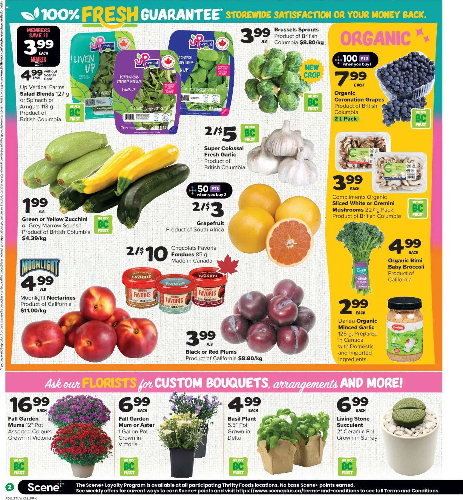 Thrifty Foods flyer valid from Aug 27, 2026 | Page: 3 | Products: Zucchini, Broccoli, Plums, Grapes