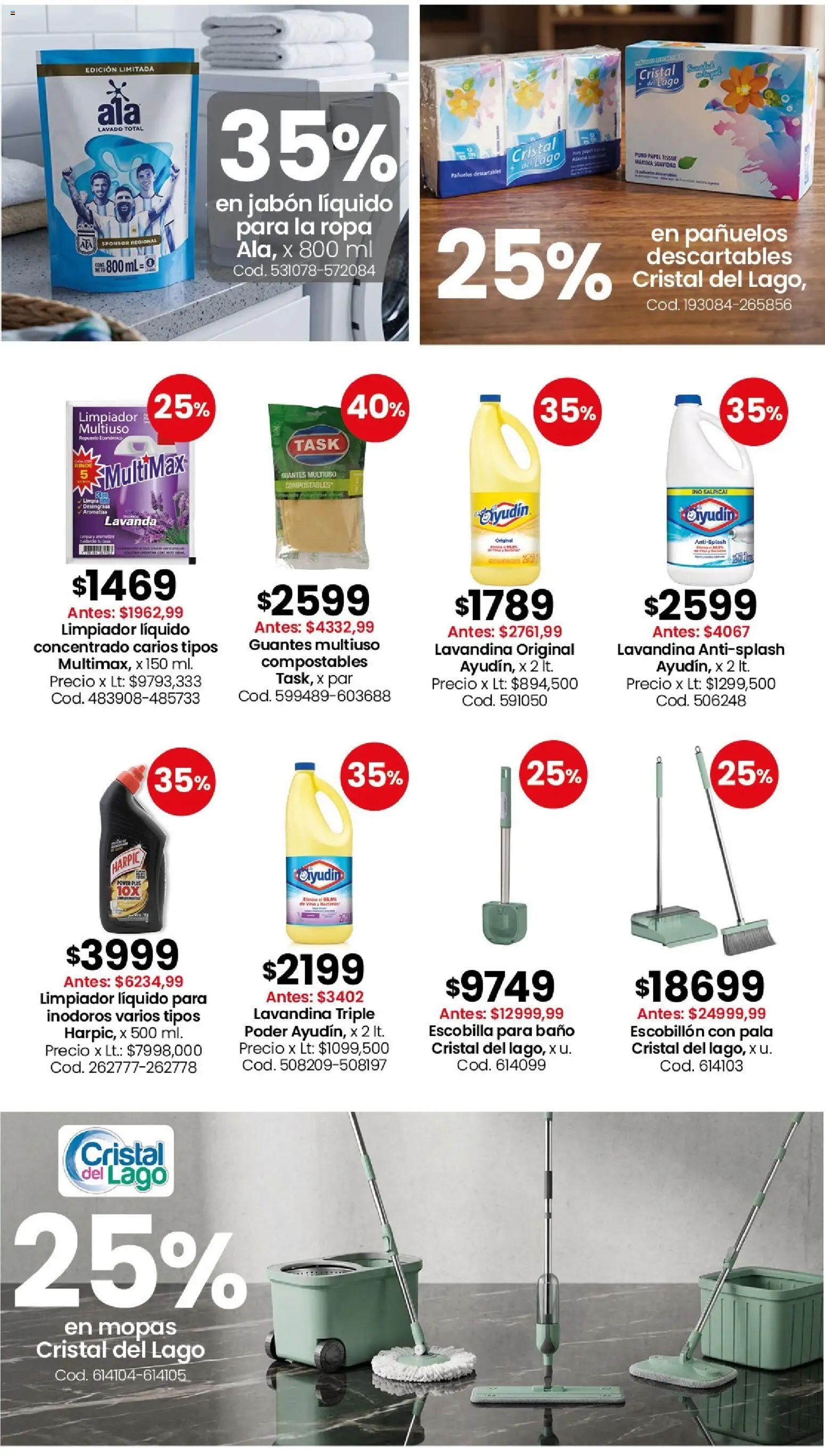 Coto - Perfumería y limpieza │ válido desde el 08.06.2026 | Página: 2 | Productos: Lavandina, Escobillon, Escobilla, Guantes