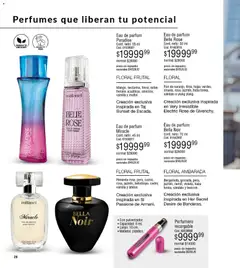 Vista previa Millanel - Catálogo válido desde el 27.04.2026 | Página: 26 | Productos: Pimienta