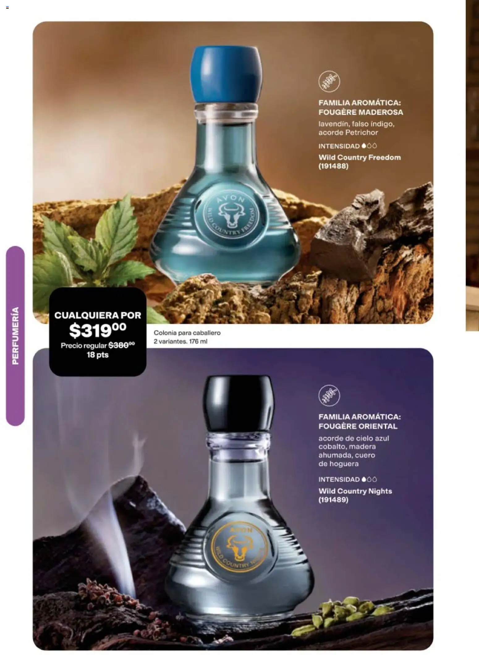 Nuevas ofertas de AVON válidas en toda la República Mexicana desde el 05/10/2026. ¡Encuentra las mejores ofertas en AVON campaña 16 2026! | Página: 119