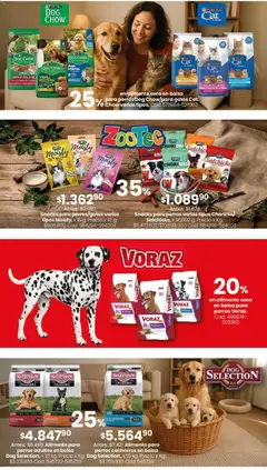 Vista previa Coto - Bazar, deco, aire libre y mascotas válido desde el 22/06/2026 | Página: 4
