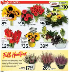 Preview of Fortinos weekly flyer / circulaire from shop Fortinos valid from Aug 27, 2026 | Page: 17