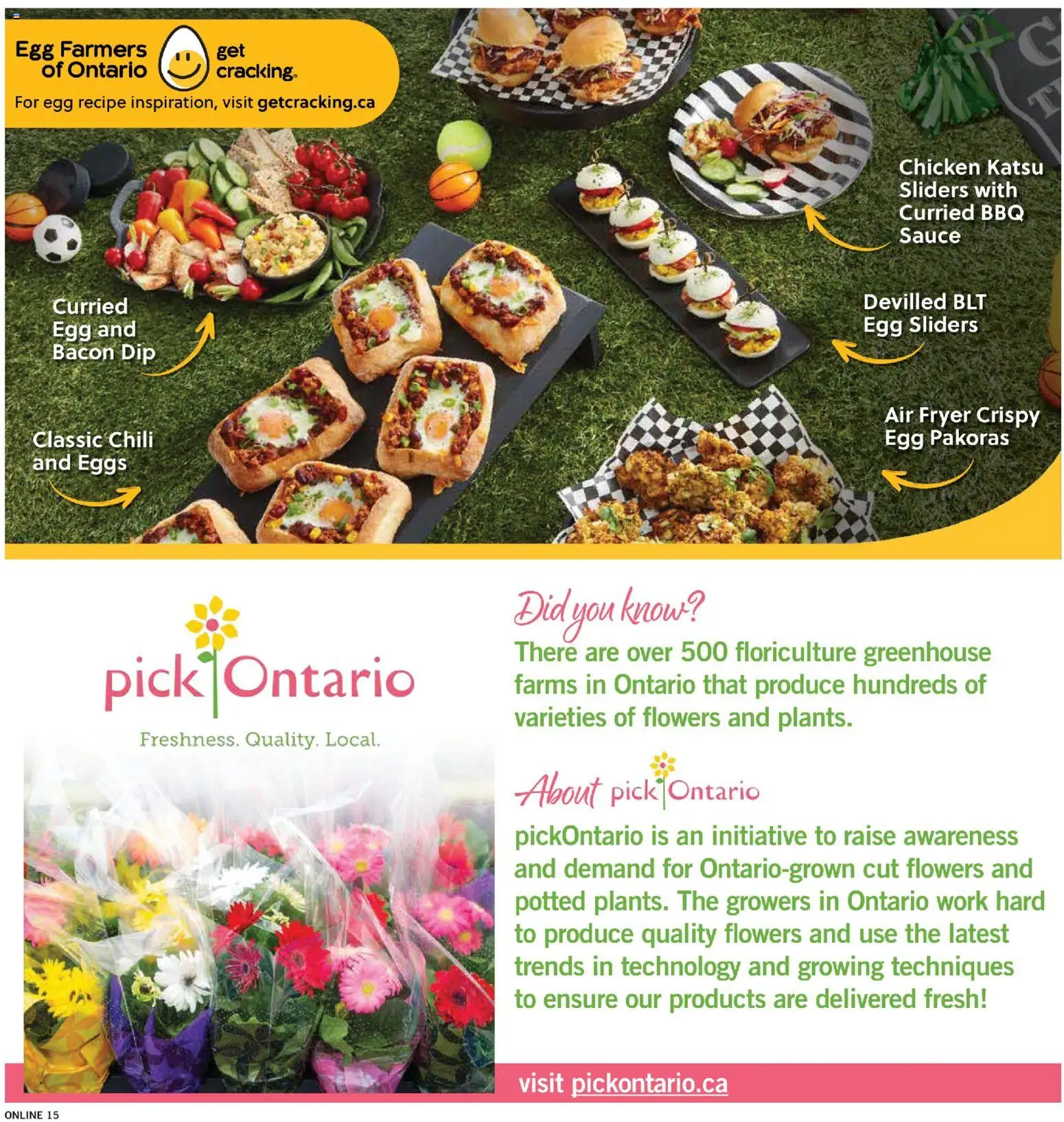 Fortinos flyer valid from Aug 6, 2026 | Page: 15 | Products: Fryer, Eggs, Chicken