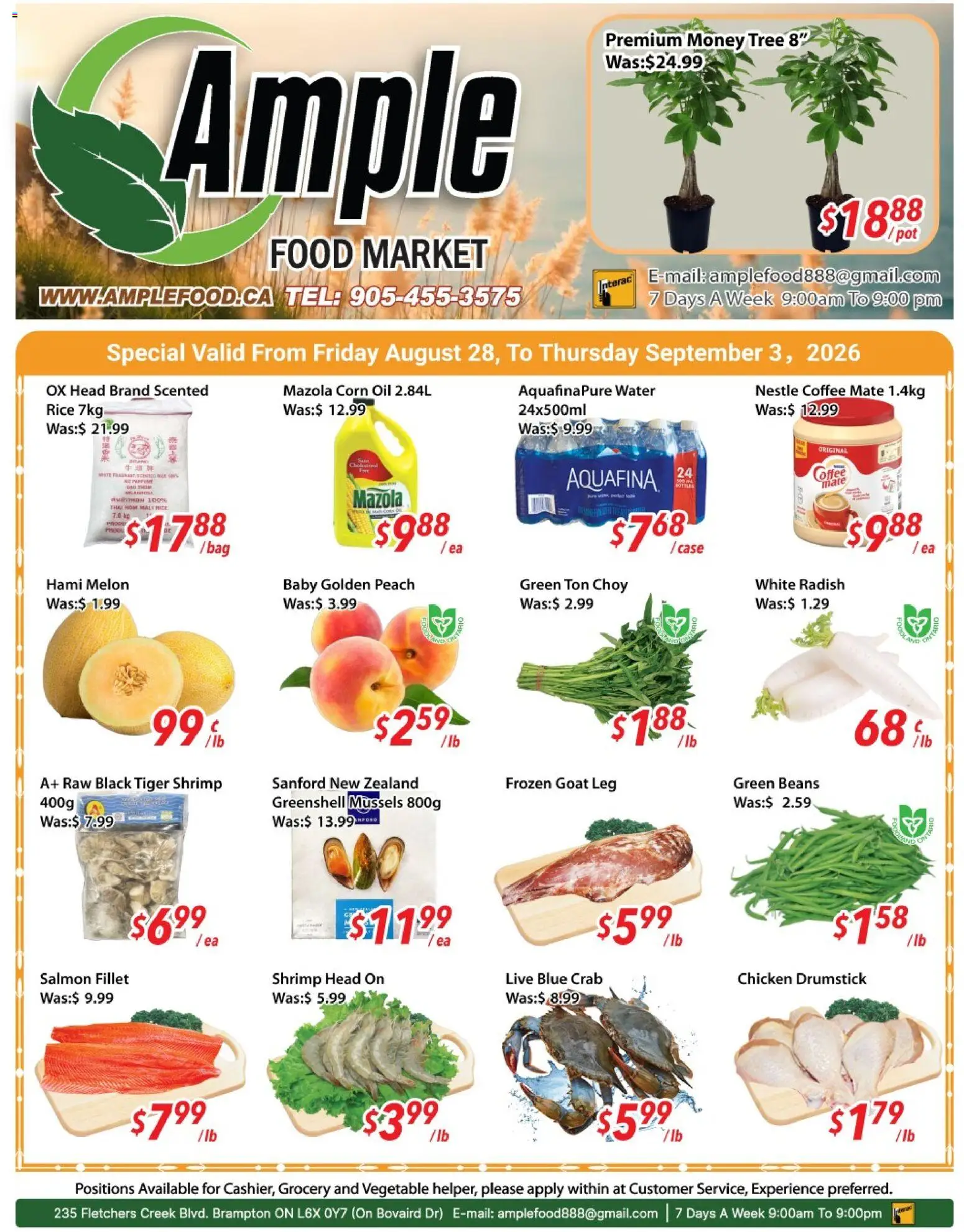 Ample Food Market flyer valid from Aug 28, 2026 | Page: 1 | Products: Food, Beans, Coffee, Chicken