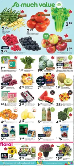 Preview of Sobeys weekly flyer / circulaire from shop Sobeys valid from Aug 20, 2026 | Page: 7 | Products: Sunflower, Broccoli, Cranberries, Protein