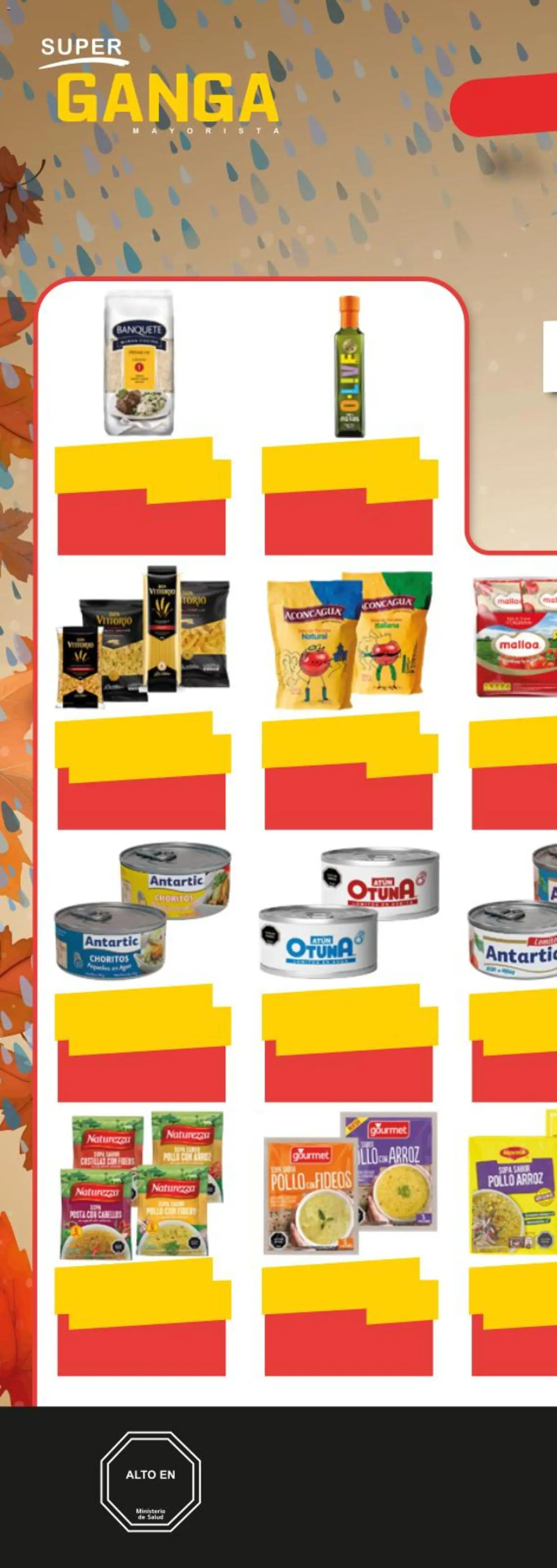 Super Ganga Ofertas  │ válido desde el 13.05.2026 | Página: 2