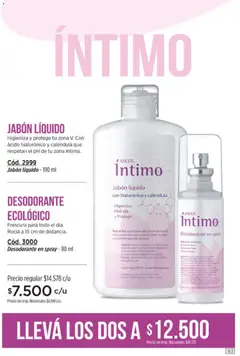 Vista previa Amodil - Campaña 11 válido desde el 01/07/2026 | Página: 163 | Productos: Jabón líquido, Jabón, Desodorante