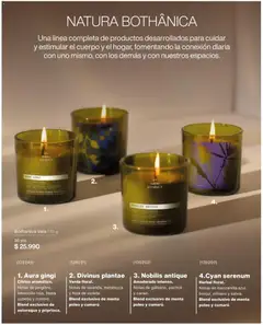 Natura Ofertas  válido desde el 01.05.2026 | Página: 178 | Productos: Vela