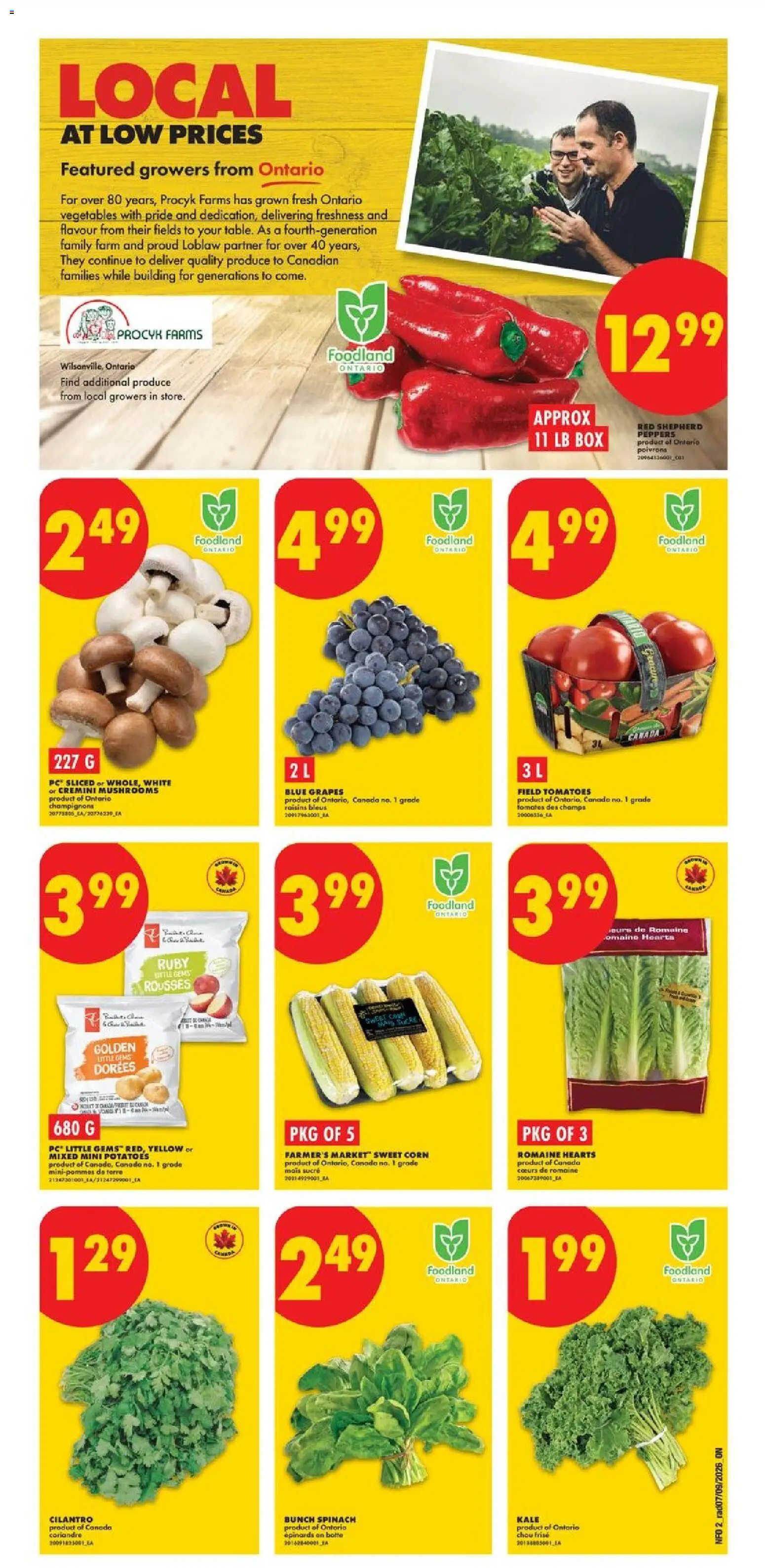 No Frills flyer valid from Sep 10, 2026 | Page: 2