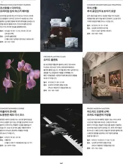 2026/09/10부터 유효한 신세계 광고 미리보기 | 페이지: 149 | 상품: 위스키, 가지
