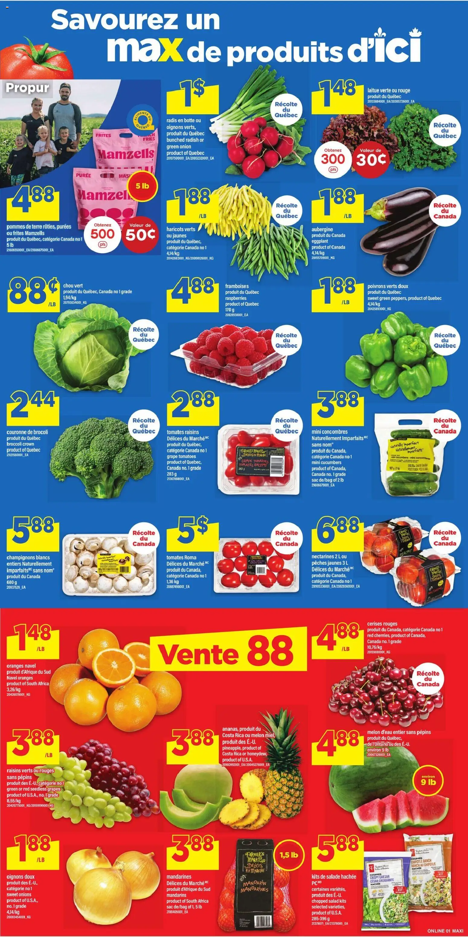 Maxi flyer valid from Aug 13, 2026 | Page: 4