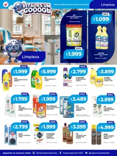 Vista previa Vital - Ofertas válido desde el 22/06/2026 | Página: 5