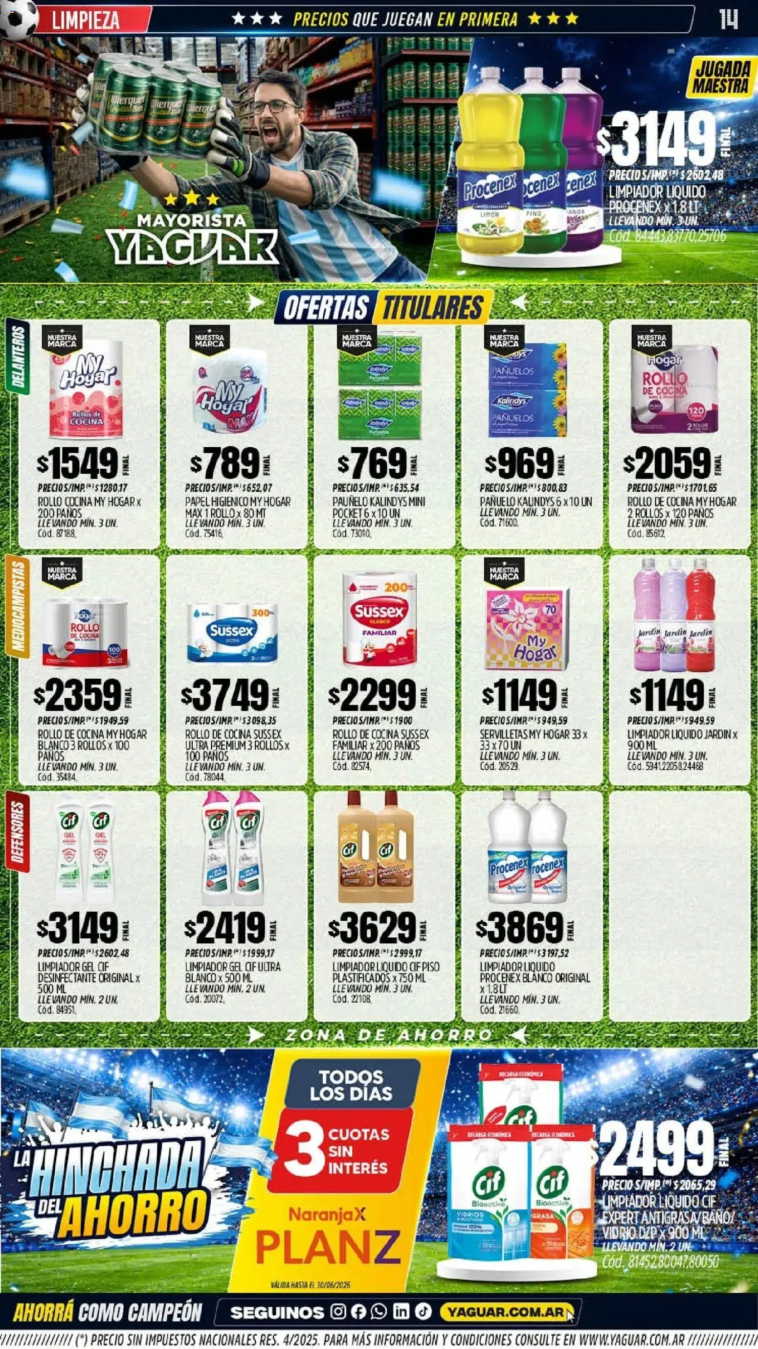 Yaguar - Oferta Semanal San Juan │ válido desde el 15.06.2026 | Página: 14 | Productos: Papel higiénico, Pañuelo, Servilletas, Limón