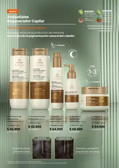 Natura catálogo Ciclo 8 -  Vista previa de la revista de la tienda Natura valido desde el 29.04.2026 | Página: 147 | Productos: Serum, Shampoo, Máscara, Acondicionador