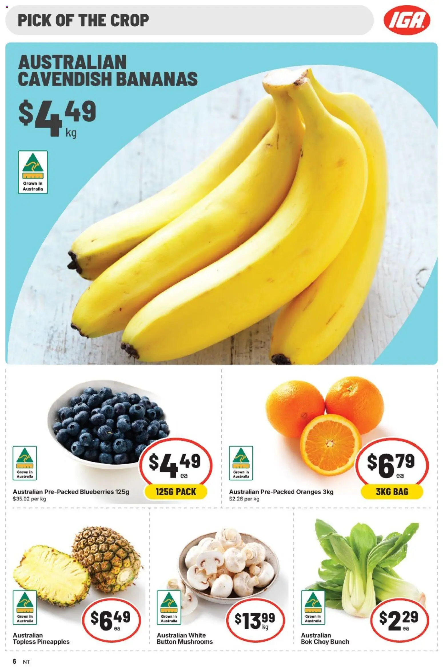 IGA catalogue - valid from 07/10/2026 | Page: 6