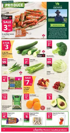 Preview of Co-op Food weekly flyer / circulaire from shop Co-op Food valid from Sep 3, 2026 | Page: 3