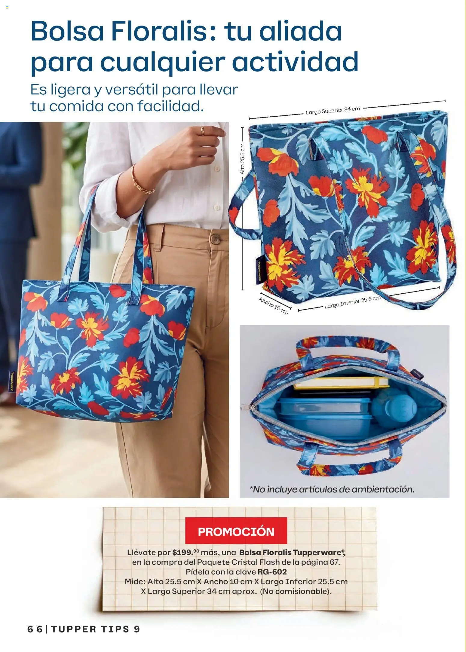 Nuevas ofertas de Tupperware válidas en toda la República Mexicana desde el 10/08/2026. ¡Encuentra las mejores ofertas en Tupperware catálogo! | Página: 66 | Productos: Bolsa, Tupper