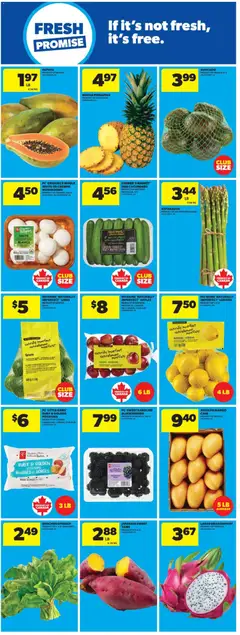 Preview of Real Canadian Superstore weekly flyer - MB from shop Real Canadian Superstore valid from 21.05.2026 | Page: 21 | Products: Pineapple, Cucumbers, Potatoes, Case