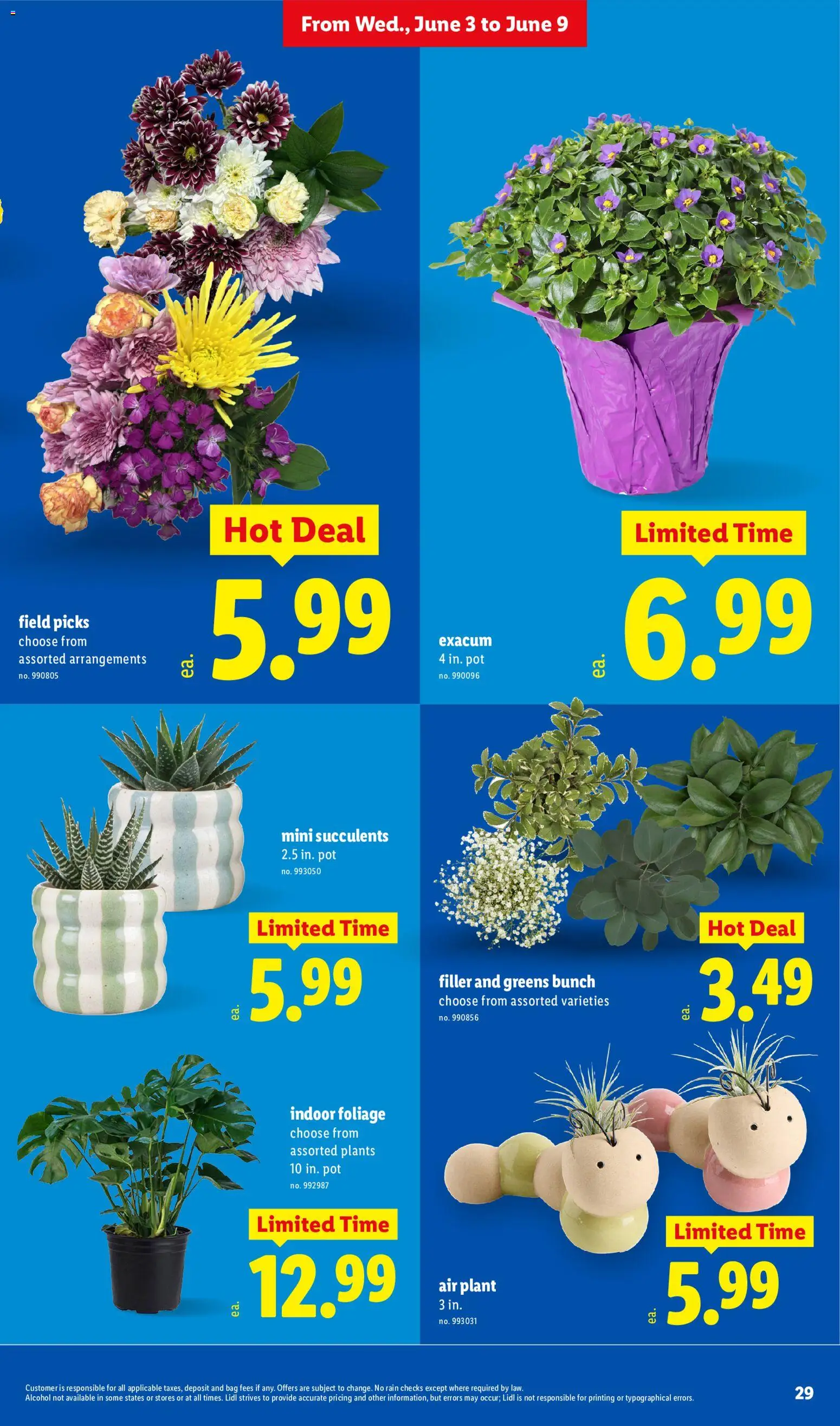 Lidl Weekly Ad - valid from 03.06.2026 | Page: 29 | Products: Greens, Bag