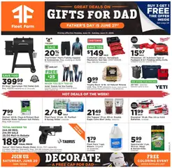 Preview of Mills Fleet Farm weekly ads valid from 15.06.2026