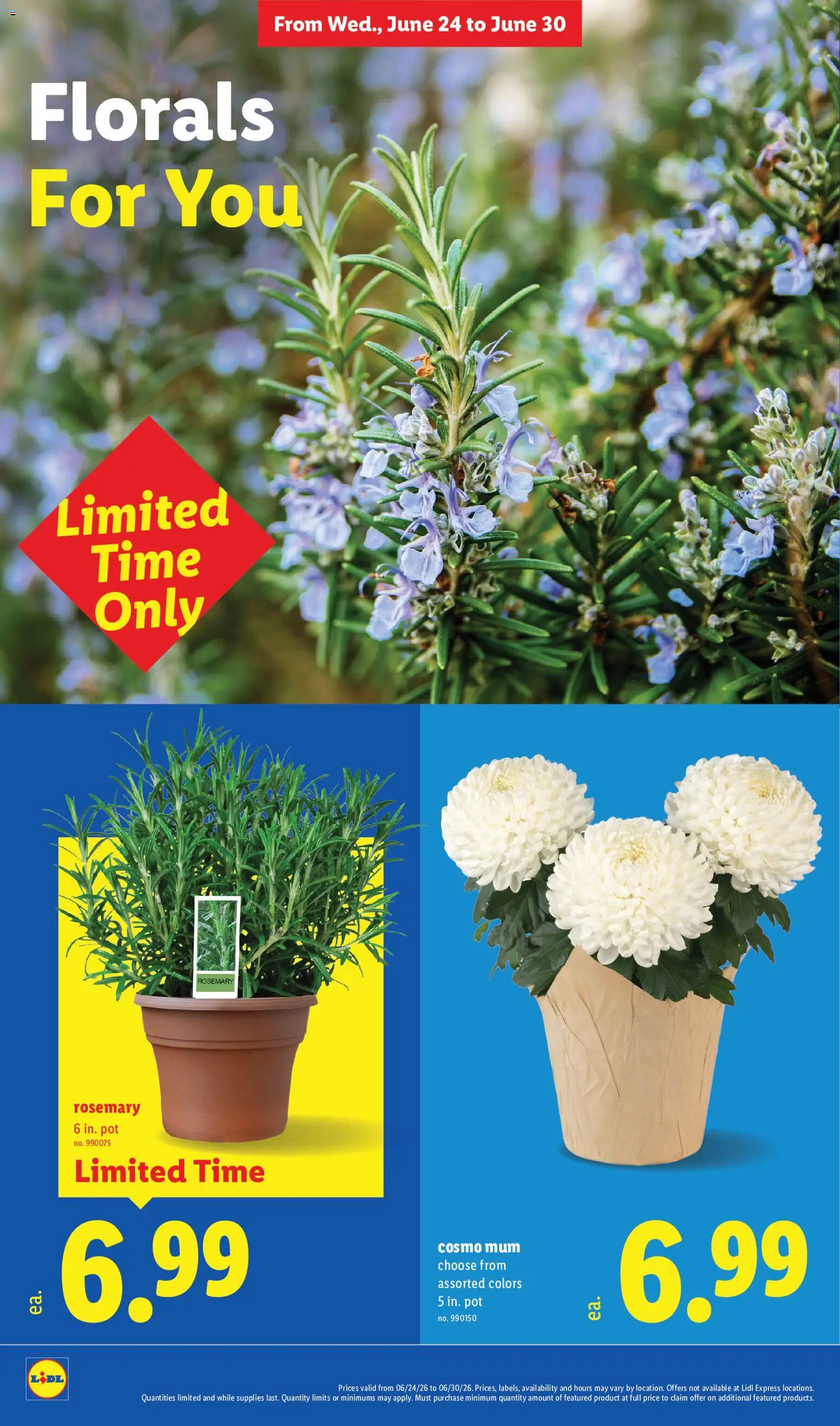 Lidl Weekly Ad - valid from 24.06.2026 | Page: 30