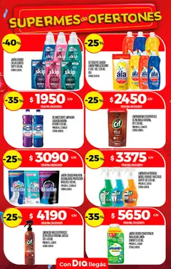 Vista previa Supermercado DIA Ofertas válido desde el 19/08/2026 | Página: 24 | Productos: Brillo, Detergente, Ropa, Pomelo